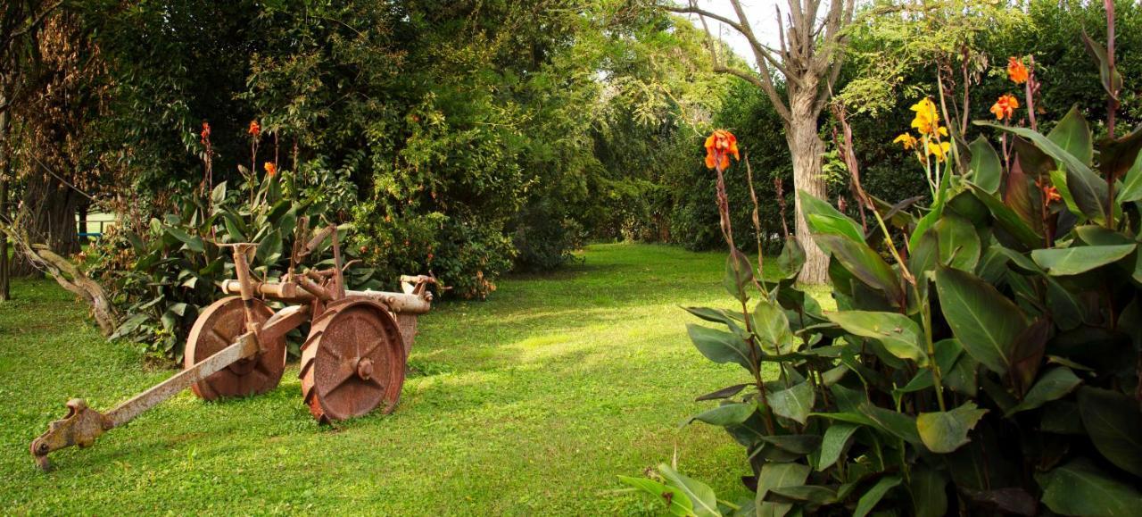 Fattoria Il Duchesco Villa Alberese Exterior foto
